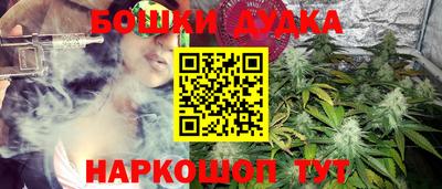 гидра Дубна