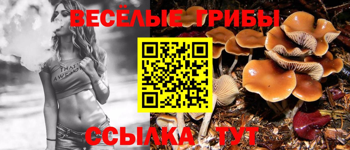 Магнитогорск  Псилоцибиновые грибы Magic Shrooms  Вход с VPN 